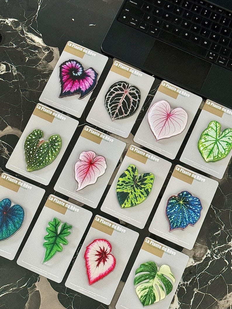 Aimants de Frigo Feuille Tropicale – Magnets Décoratifs Plante Verte – 7-10 cm Résine Brillante