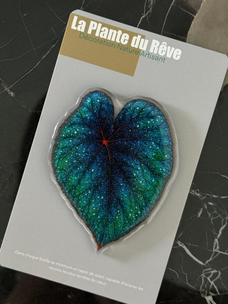 Aimants de Frigo Feuille Tropicale – Magnets Décoratifs Plante Verte – 7-10 cm Résine Brillante