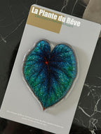 Aimants de Frigo Feuille Tropicale – Magnets Décoratifs Plante Verte – 7-10 cm Résine Brillante