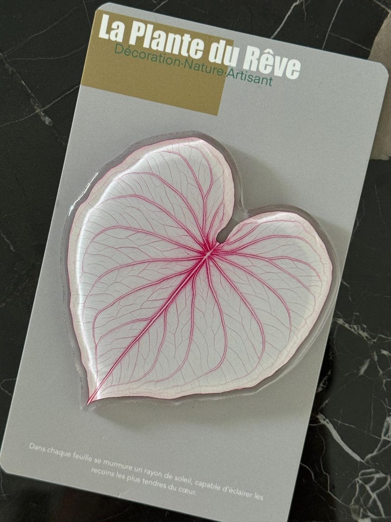 Aimants de Frigo Feuille Tropicale – Magnets Décoratifs Plante Verte – 7-10 cm Résine Brillante