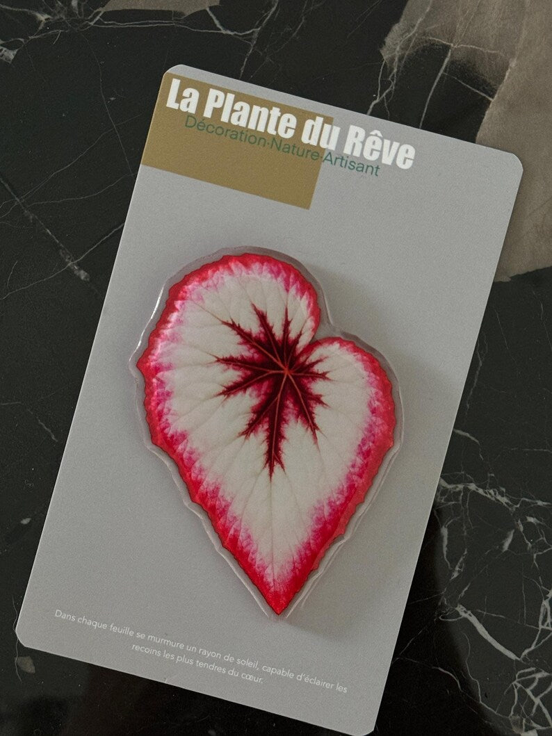 Aimants de Frigo Feuille Tropicale – Magnets Décoratifs Plante Verte – 7-10 cm Résine Brillante