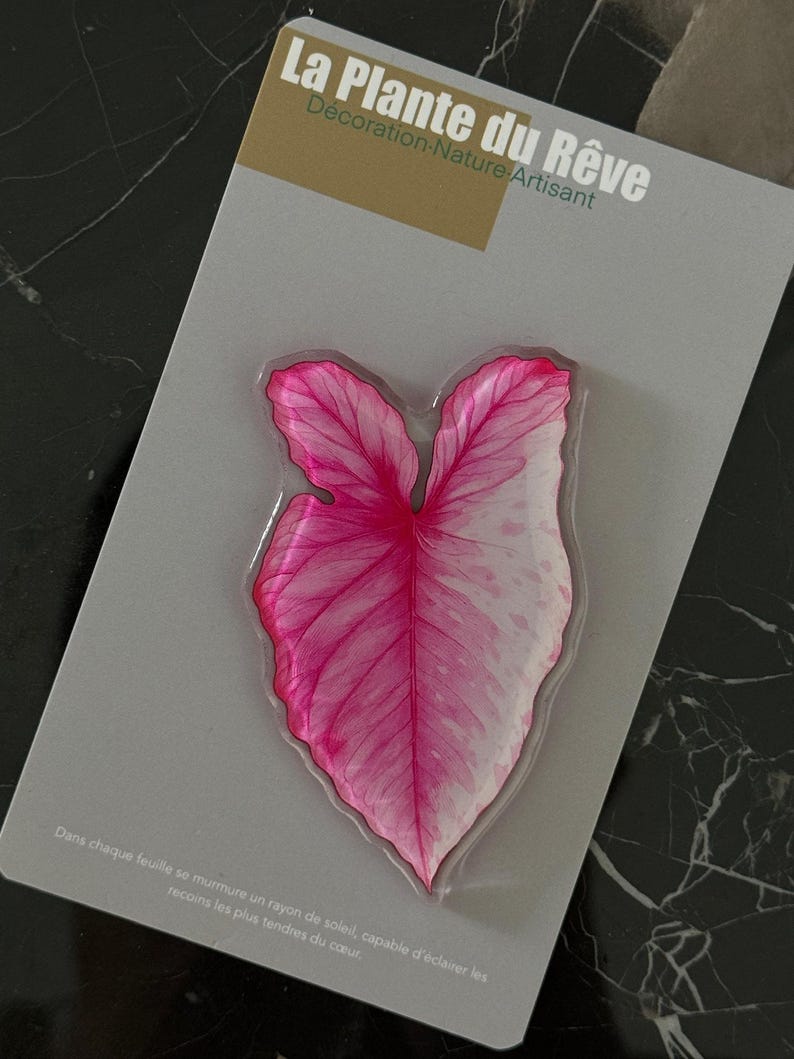 Aimants de Frigo Feuille Tropicale – Magnets Décoratifs Plante Verte – 7-10 cm Résine Brillante
