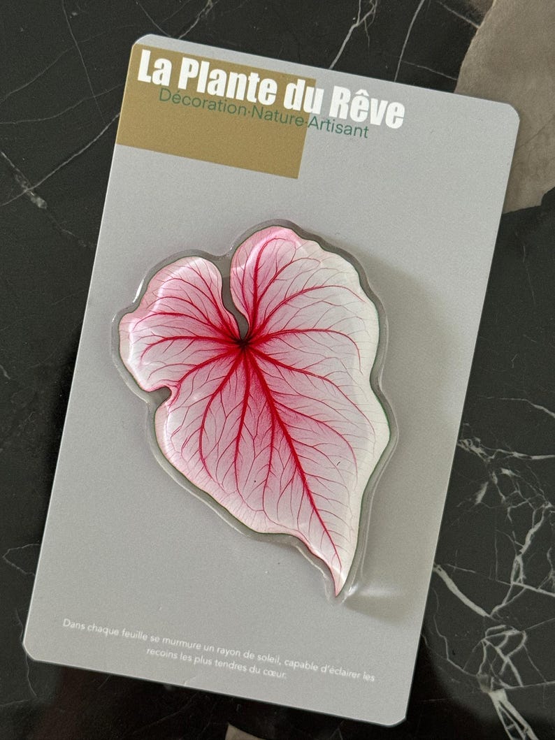 Aimants de Frigo Feuille Tropicale – Magnets Décoratifs Plante Verte – 7-10 cm Résine Brillante