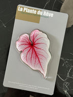 Aimants de Frigo Feuille Tropicale – Magnets Décoratifs Plante Verte – 7-10 cm Résine Brillante