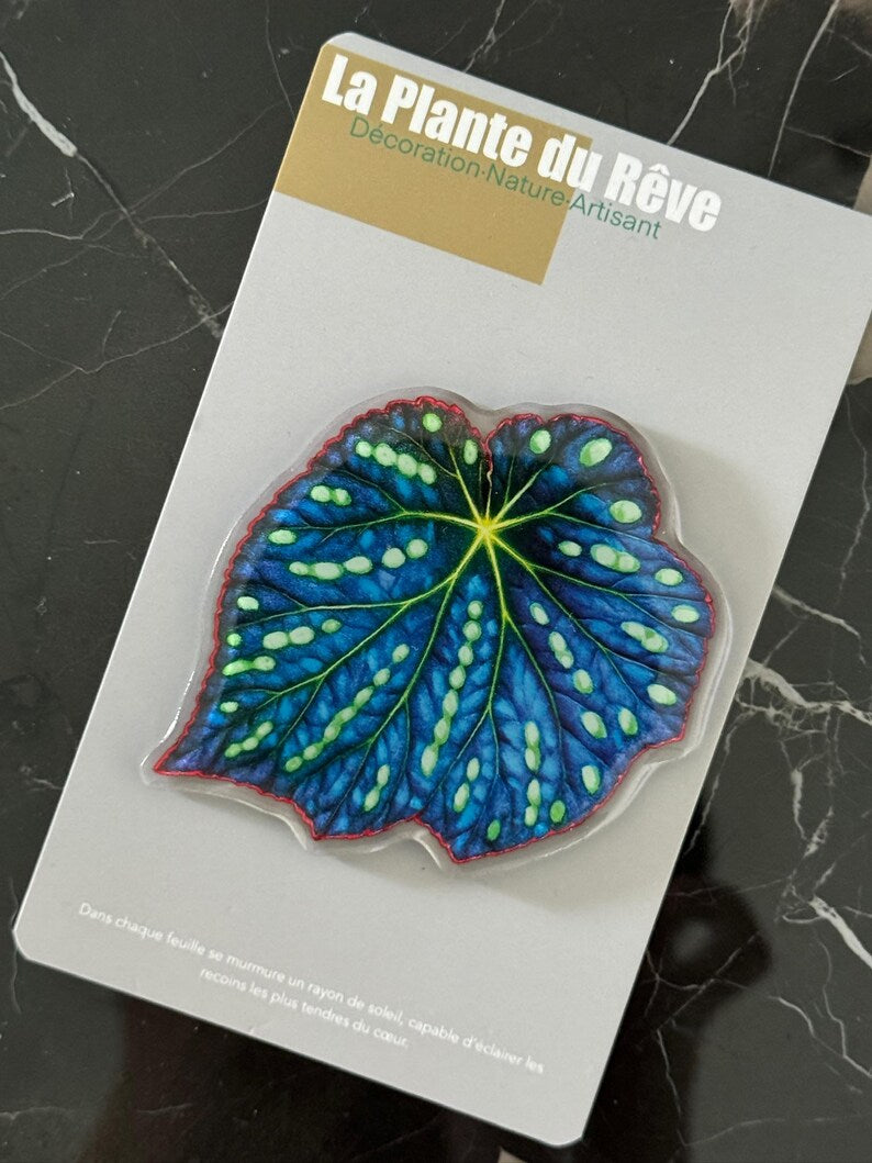Aimants de Frigo Feuille Tropicale – Magnets Décoratifs Plante Verte – 7-10 cm Résine Brillante