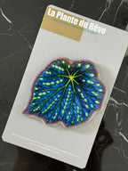 Aimants de Frigo Feuille Tropicale – Magnets Décoratifs Plante Verte – 7-10 cm Résine Brillante