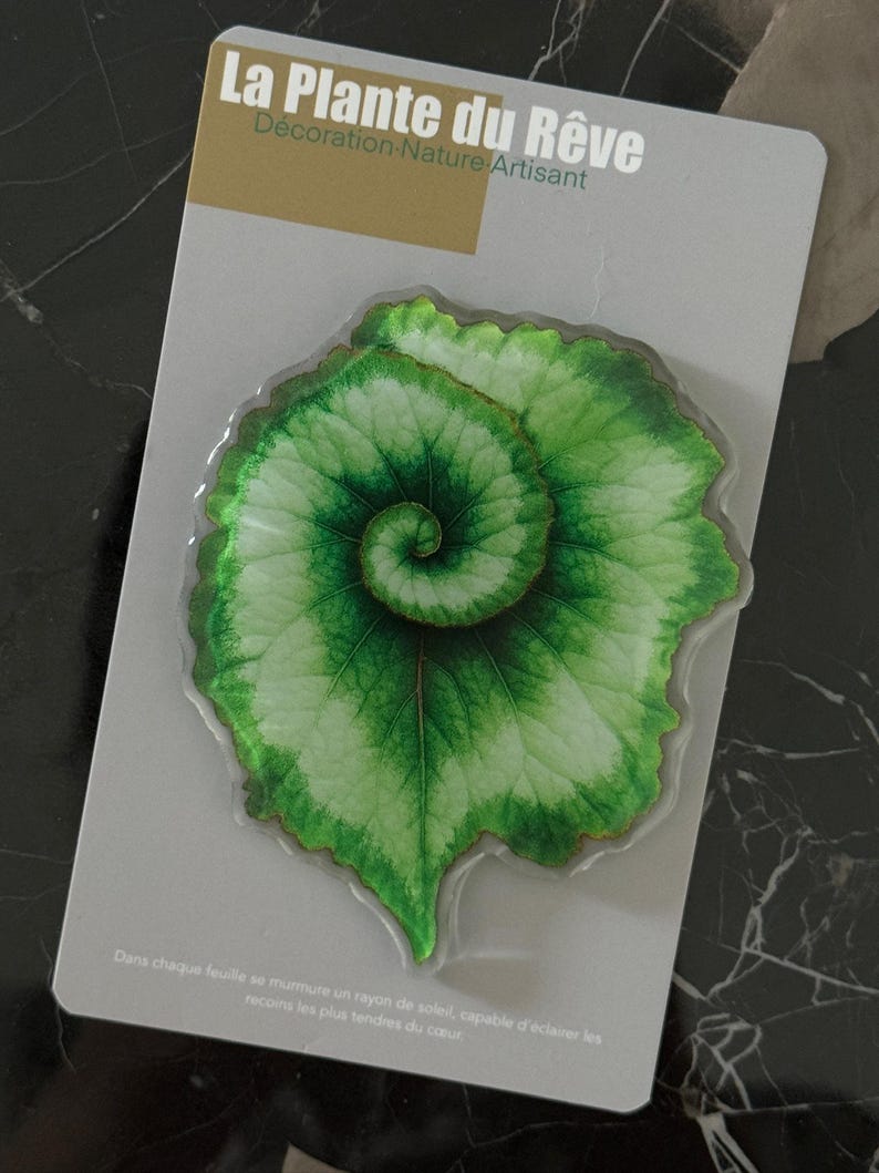 Aimants de Frigo Feuille Tropicale – Magnets Décoratifs Plante Verte – 7-10 cm Résine Brillante
