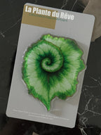 Aimants de Frigo Feuille Tropicale – Magnets Décoratifs Plante Verte – 7-10 cm Résine Brillante