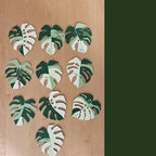 10 sous-verres Monstera, dix feuilles magnétiques, grand ensemble de sous-verres, sous-verres imprimés en 3D
