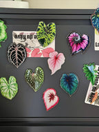 Aimants de Frigo Feuille Tropicale – Magnets Décoratifs Plante Verte – 7-10 cm Résine Brillante