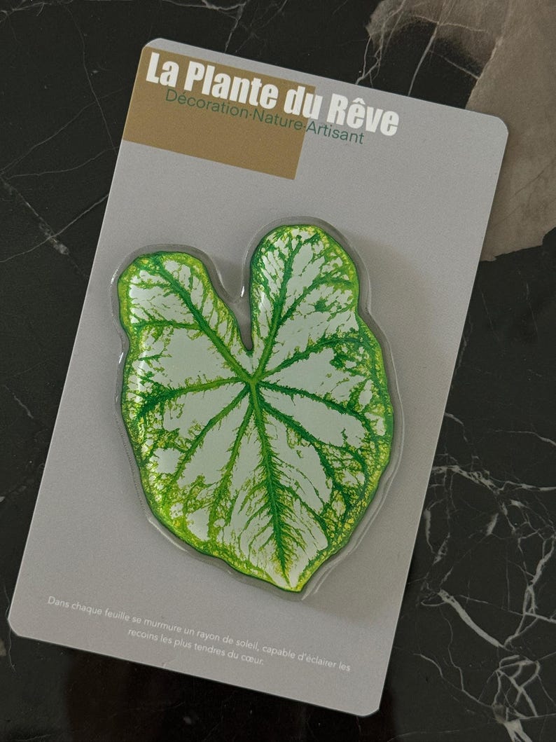 Aimants de Frigo Feuille Tropicale – Magnets Décoratifs Plante Verte – 7-10 cm Résine Brillante
