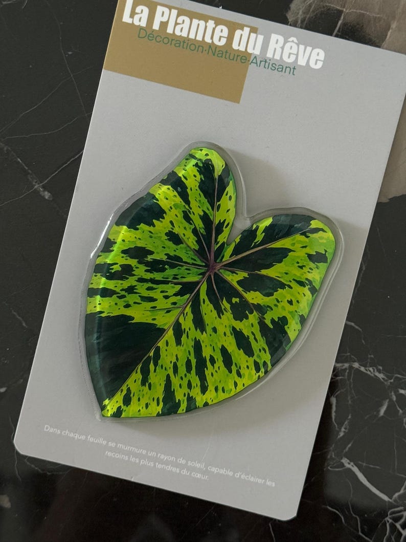 Aimants de Frigo Feuille Tropicale – Magnets Décoratifs Plante Verte – 7-10 cm Résine Brillante