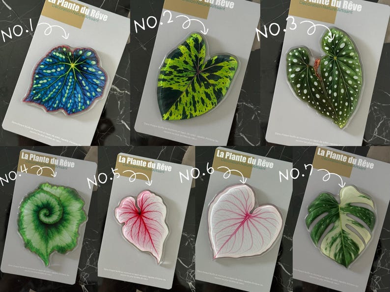 Aimants de Frigo Feuille Tropicale – Magnets Décoratifs Plante Verte – 7-10 cm Résine Brillante