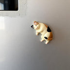 Aimants pour réfrigérateur Chat endormi 3D, Figurines chaton en résine, Collection de chats miniatures
