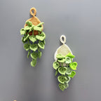 Plante suspendue au crochet avec aimant, décoration murale bohème, panier goutte d'eau, sans entretien, 18 cm