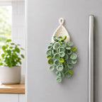 Aimant réfrigérateur crochet plante suspendue décoration florale bohème pour cuisine, choix A/B/C/D