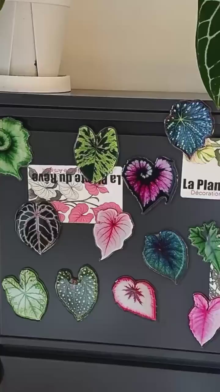 Aimants de Frigo Feuille Tropicale – Magnets Décoratifs Plante Verte – 7-10 cm Résine Brillante
